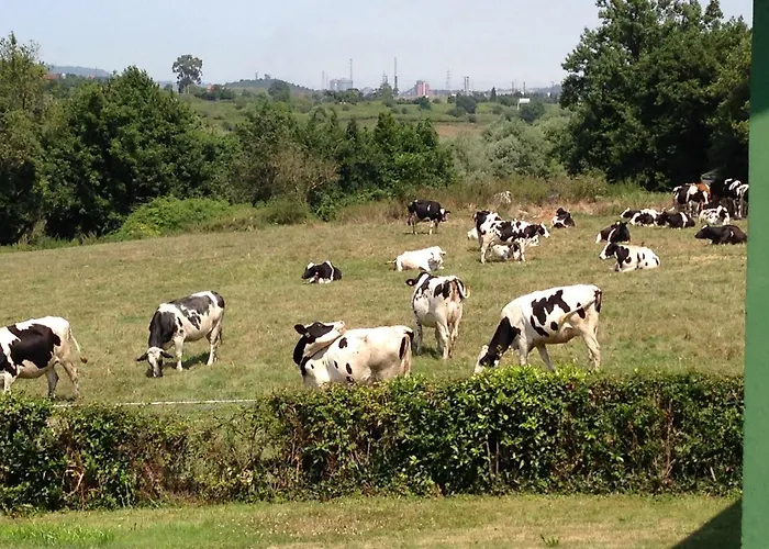 Ferienhaus Casa Marcela